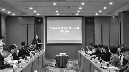 湖北版協(xié):推出更多金點子 助力版權強省建設