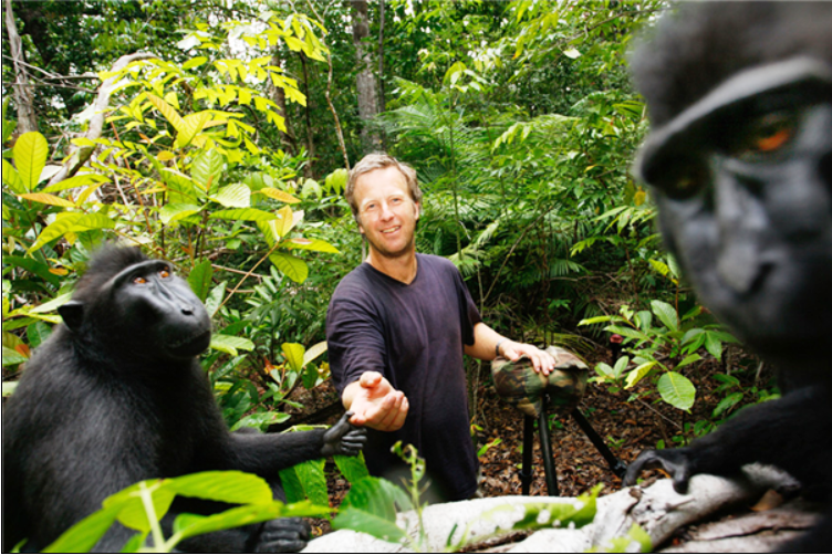 為了一張猴子自拍照的版權(quán):攝影師打官司7年 慘遭破產(chǎn)