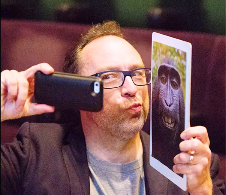 為了一張猴子自拍照的版權(quán):攝影師打官司7年 慘遭破產(chǎn)