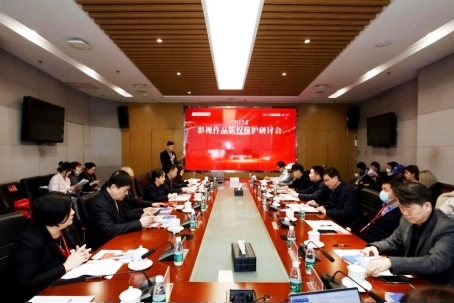 影視版權(quán)如何實現(xiàn)共治格局？專家聯(lián)動獻策