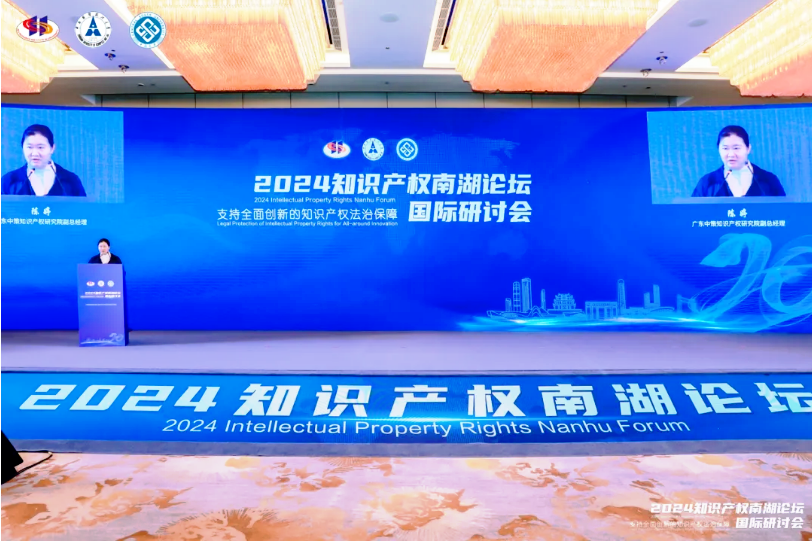 2024南湖論壇:從數(shù)據(jù)角度思考AI版權(quán)爭(zhēng)議