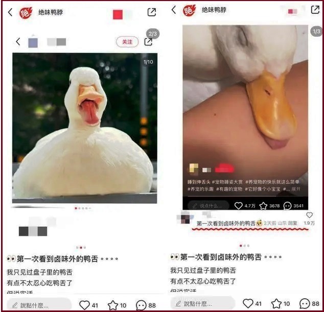 絕味鴨脖擅用寵物鴨照片宣傳鴨舌 律師:侵權