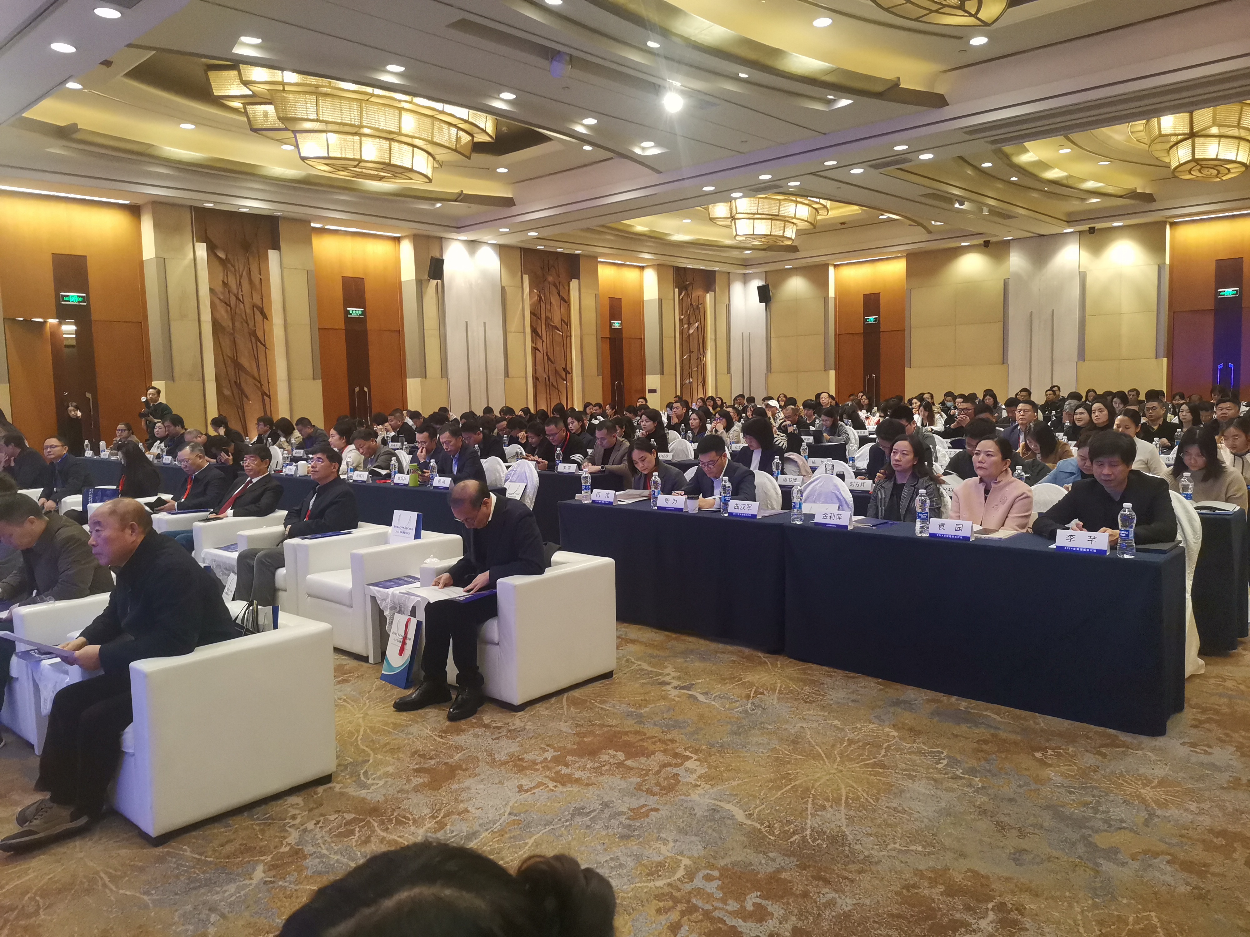 兩湖版權對話:版權保護助推新質生產力發(fā)展