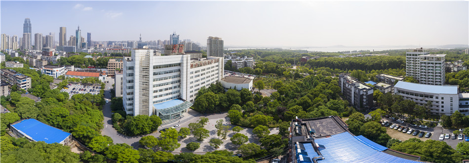 知音傳媒公司榮獲2024中國版權(quán)保護力企業(yè)稱號