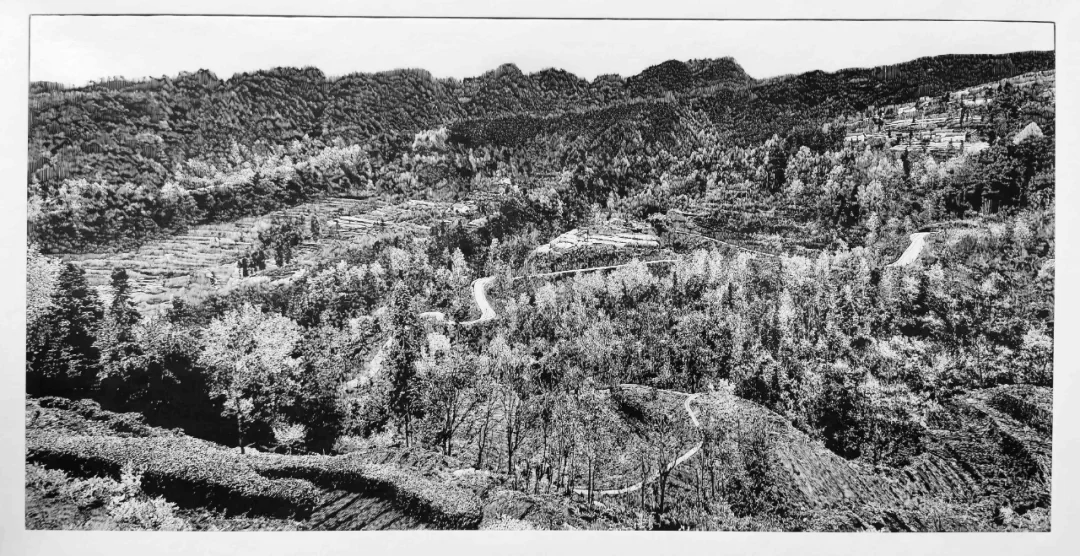 第五屆湖北藝術(shù)節(jié)優(yōu)秀美術(shù)作品欣賞