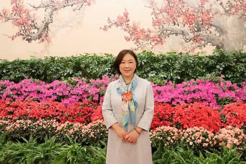 蔣勝男委員:設(shè)立中國(guó)網(wǎng)絡(luò)作協(xié) 壯大網(wǎng)文產(chǎn)業(yè)