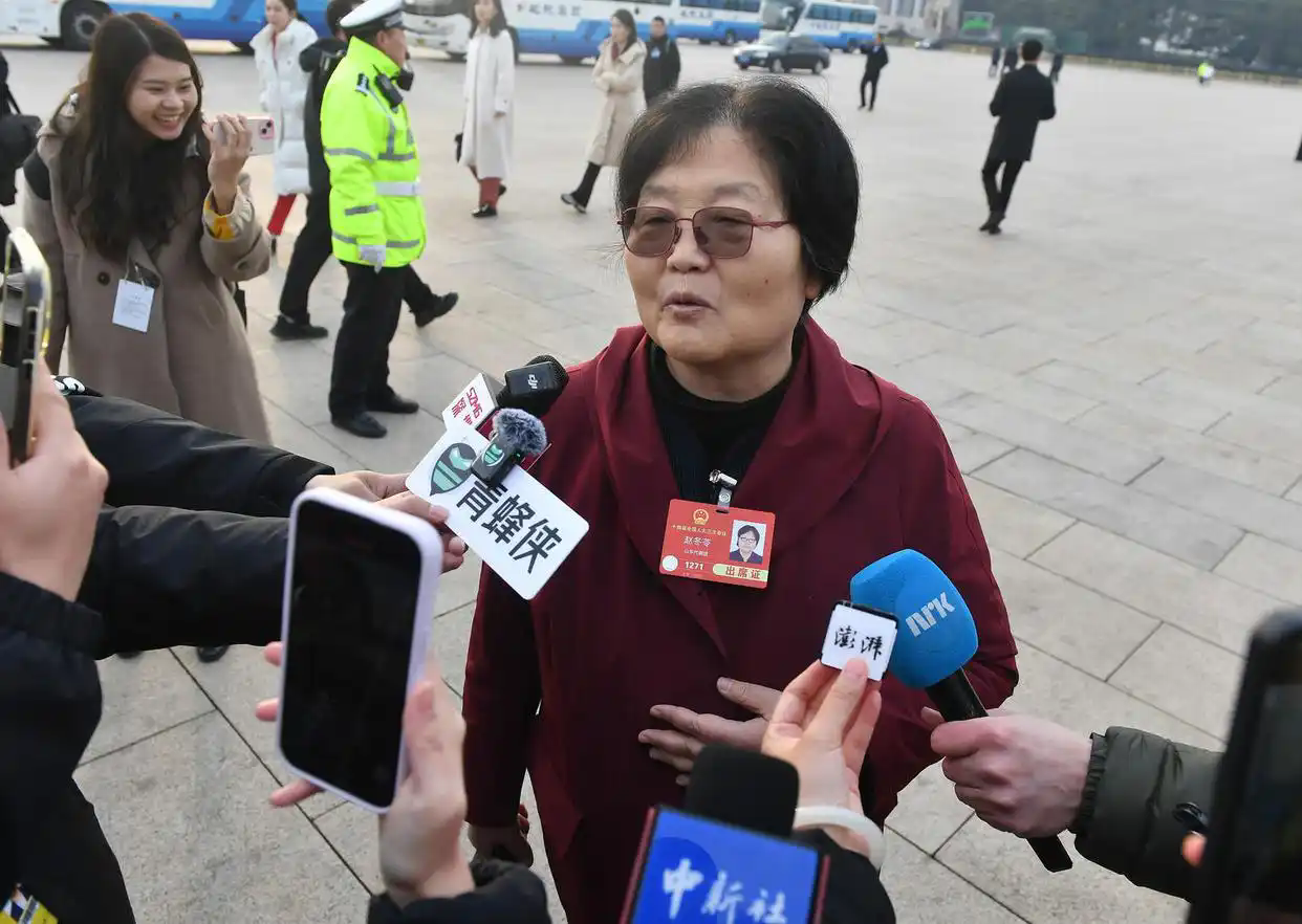 人大代表趙冬苓：DeepSeek替代不了編劇