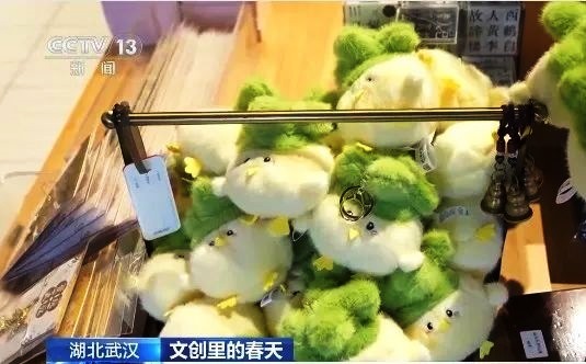 全國媒體關(guān)注:武漢