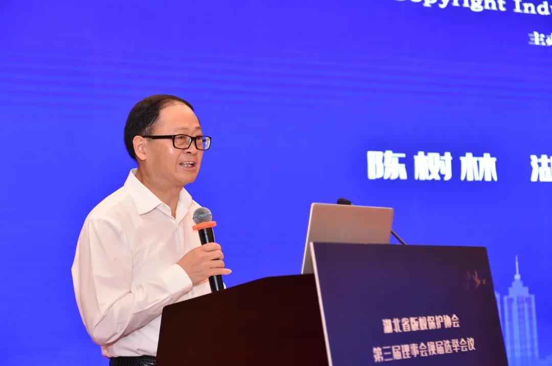 版權(quán)產(chǎn)業(yè)創(chuàng)新及知識產(chǎn)權(quán)保護東湖論壇成功召開