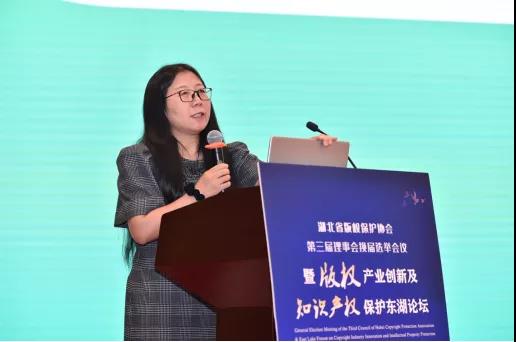 版權(quán)產(chǎn)業(yè)創(chuàng)新及知識產(chǎn)權(quán)保護東湖論壇成功召開