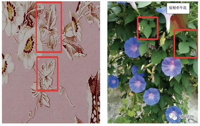 二審改判！深圳中院：當(dāng)事人并不因作品登記當(dāng)然享有著作權(quán)