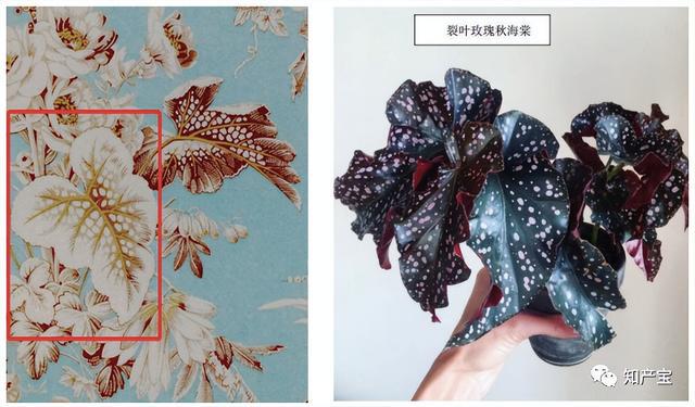 二審改判！深圳中院：當(dāng)事人并不因作品登記當(dāng)然享有著作權(quán)